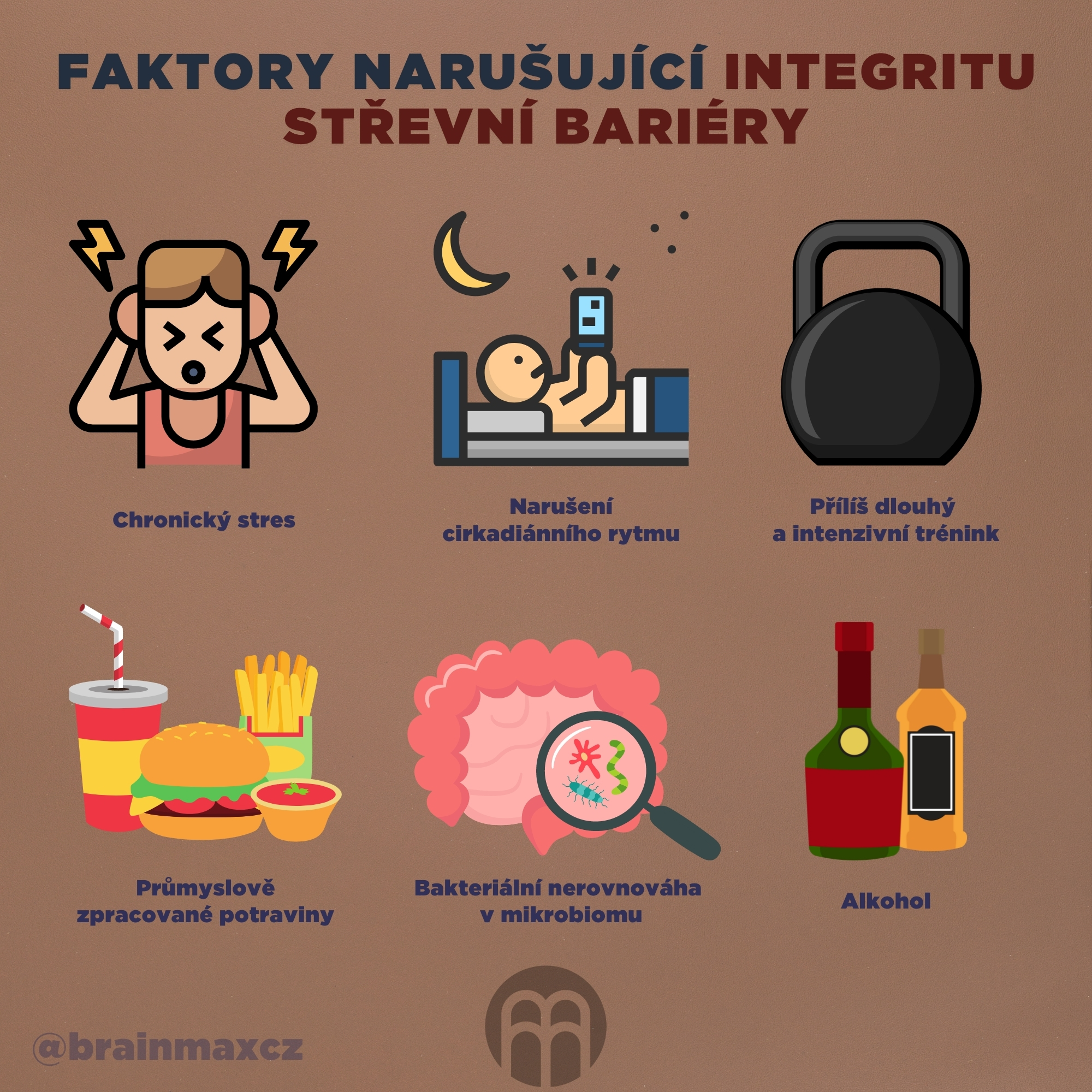 PP DK střevní bariera